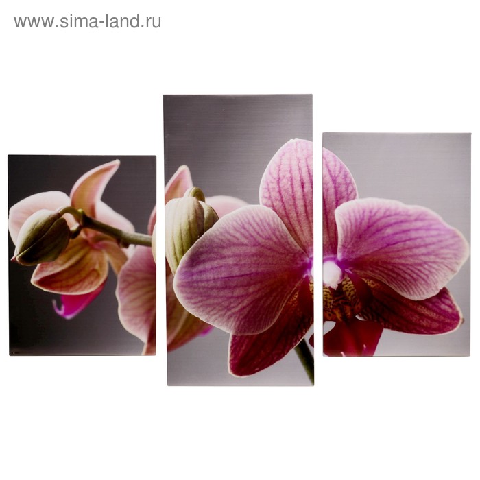 Картина модульная на подрамнике "Крупная орхидея" 99*65 см - Фото 1