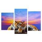 Картина модульная на подрамнике "Тигр" 99*65 см - Фото 1