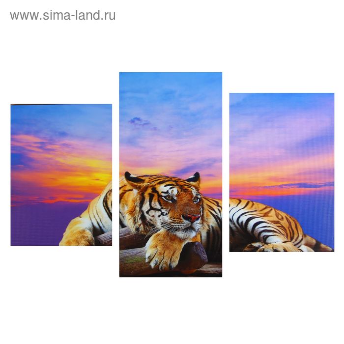 Картина модульная на подрамнике "Тигр" 99*65 см - Фото 1