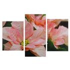 Картина модульная на подрамнике "Розовые цветы" 99*65 см - Фото 1