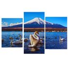 Картина модульная на подрамнике "Лебеди в горах" 99*65 см - Фото 1