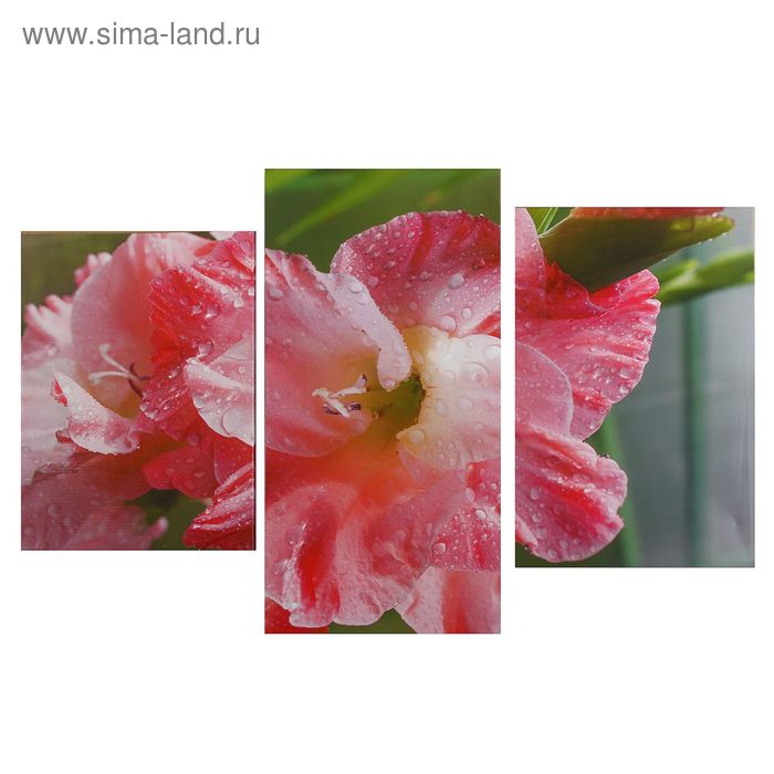 Картина модульная на подрамнике "Нежный цветок" 99*65 см - Фото 1