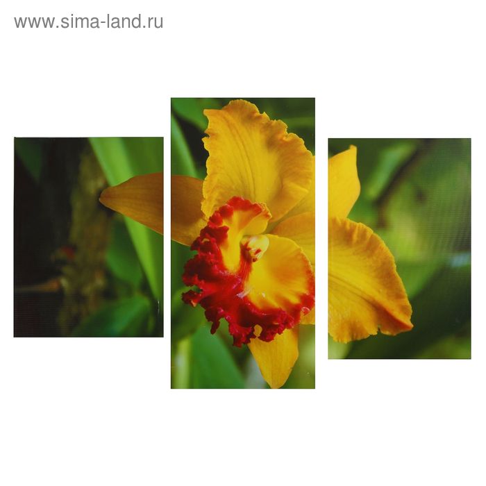 Картина модульная на подрамнике "Желтый цветок" 99*65 см - Фото 1