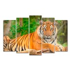 Картина модульная на подрамнике "Тигр" (2-25х63; 2-25х70; 1-25х80) 125х80см - фото 3637185
