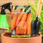 Семена Морковь  "Нантская 4", 300 шт. - Фото 1