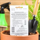 Семена Морковь «Лосиноостровская - 13», простое драже, 300 шт. - Фото 2