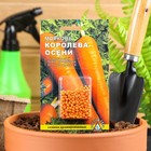 Семена Морковь  "КОРОЛЕВА ОСЕНИ" простое драже, 300 шт - фото 5970280