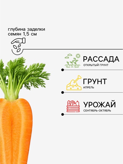 Семена Морковь «Красный великан Роте Ризен», драже, 300 шт., «Росток-гель»