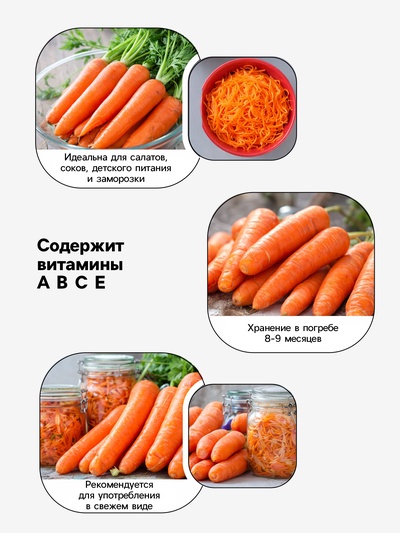 Семена Морковь «Красный великан Роте Ризен», драже, 300 шт., «Росток-гель»