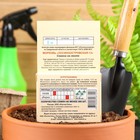 Семена на ленте Морковь «Лосиноостровская 13», 8 м, «Росток-гель» - Фото 2