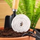 Семена на ленте Морковь «Красный великан», 8 м, «Росток-гель» - Фото 3