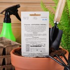 Семена Морковь «Королева осени», гелевое драже, 300 шт., «Росток-гель» - Фото 2