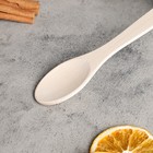 Ложка для гарнира «Берёза ЛЮКС», дерево, 25×5×0.5 см - Фото 2