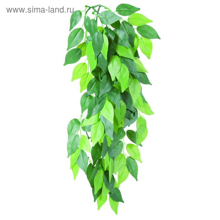 Растение для террариума Trixie Ficus, 20х50см., шелк. - Фото 1