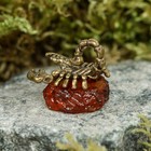 Сувенир "Скорпион", маленький, латунь, янтарь - Фото 4