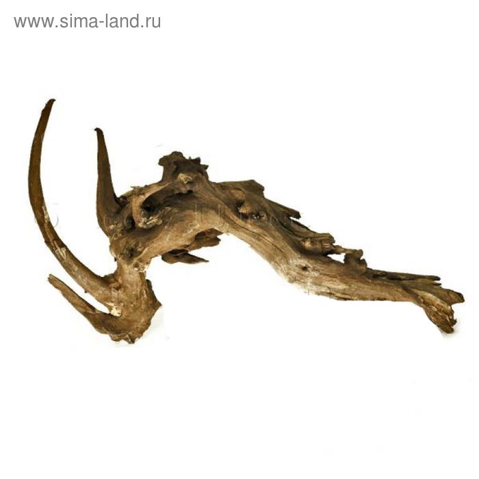 Коряга натуральная UDeco Coral Driftwood M "Коралловая" 1 шт, 25-60 см, m=1-2 кг - Фото 1