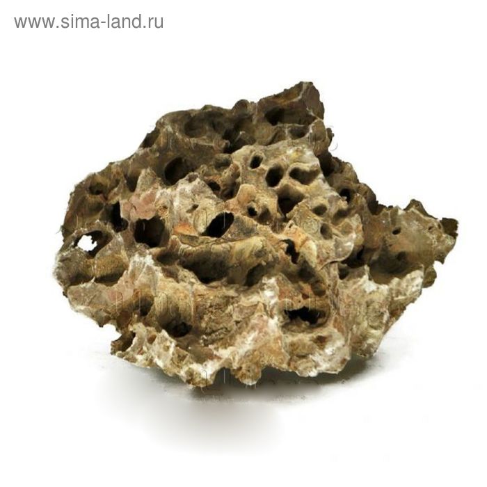 Камень натуральный UDeco Dragon Stone S "Дракон" размер10-20 см, m=0,5-1 кг, 1 шт - Фото 1