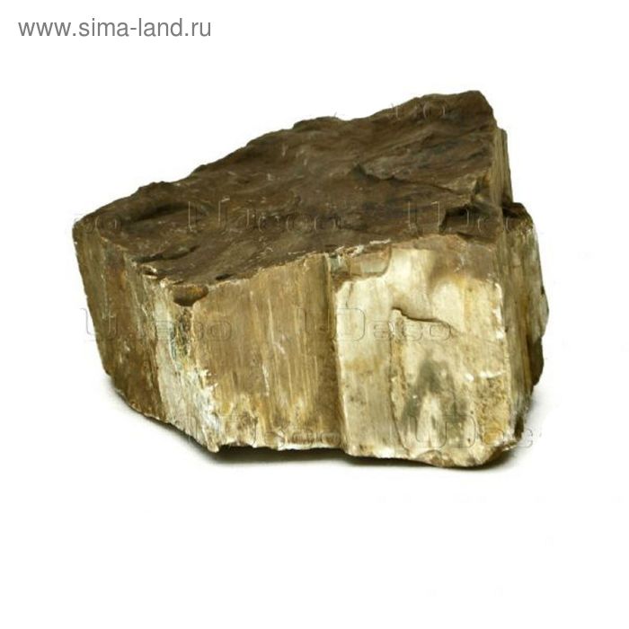 Камень натуральный UDeco Fossilized Wood "Окаменелое дерево" размер 20-30 см, m=4-6 кг, 1 шт - Фото 1