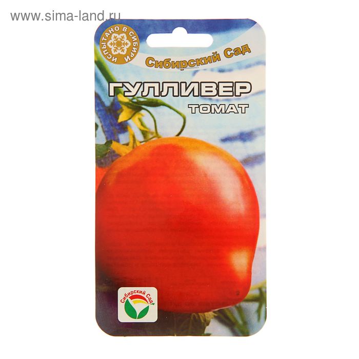 Гулливер описание сорта фото отзывы Гулливер описание сорта фото отзывы