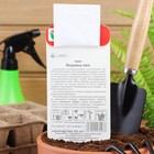 Семена Томат «Медвежья Лапа», среднеранний, индетерминантный, 20 шт., «Сибирский сад» - Фото 4