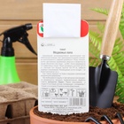 Семена Томат «Медвежья Лапа», среднеранний, индетерминантный, 20 шт., «Сибирский сад» - Фото 4