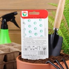 Семена Томат «Медвежья Лапа», среднеранний, индетерминантный, 20 шт., «Сибирский сад» - Фото 5