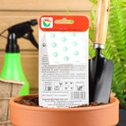 Семена Томат «Петруша-огородник», детерминантный, низкорослый 20 шт. - Фото 2