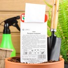 Семена Томат «Петруша-огородник», детерминантный, низкорослый 20 шт. - Фото 3