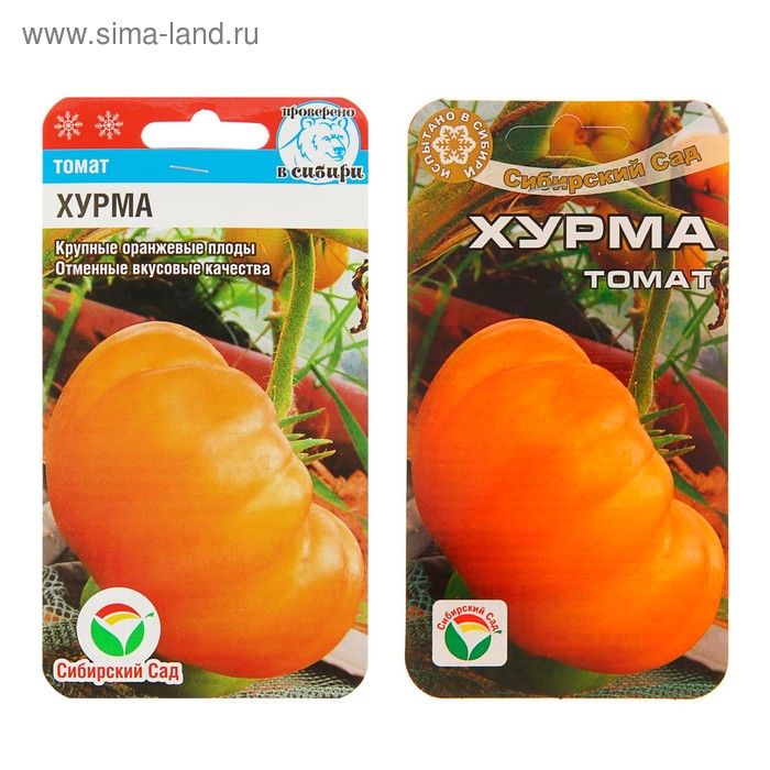 Сорт томатов хурма отзывы фото урожайность