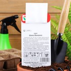 Семена Томат "Шапка Мономаха", среднеспелый, детерминантный,среднерослый, 20 шт - Фото 4