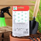 Семена Томат "Шапка Мономаха", среднеспелый, детерминантный,среднерослый, 20 шт - Фото 5