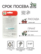 Семена Огурец «Маша», F1, самоопыляемый, 5 шт., «Сибирский сад» - Фото 2