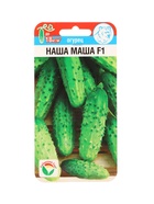 Семена Огурец Наша Маша F1, партенокарпический, 7 шт - Фото 1