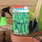 Семена Огурец Темп F1,партенокарпический, 5 шт - Фото 5