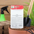 Семена Огурец Темп F1,партенокарпический, 5 шт - Фото 6