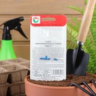 Семена Огурец Темп F1,партенокарпический, 5 шт - Фото 7