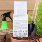 Семена Морковь Алтайская лакомка, 2 гр - Фото 5