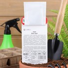 Семена Редис Кинг-конг, 2 г - Фото 4