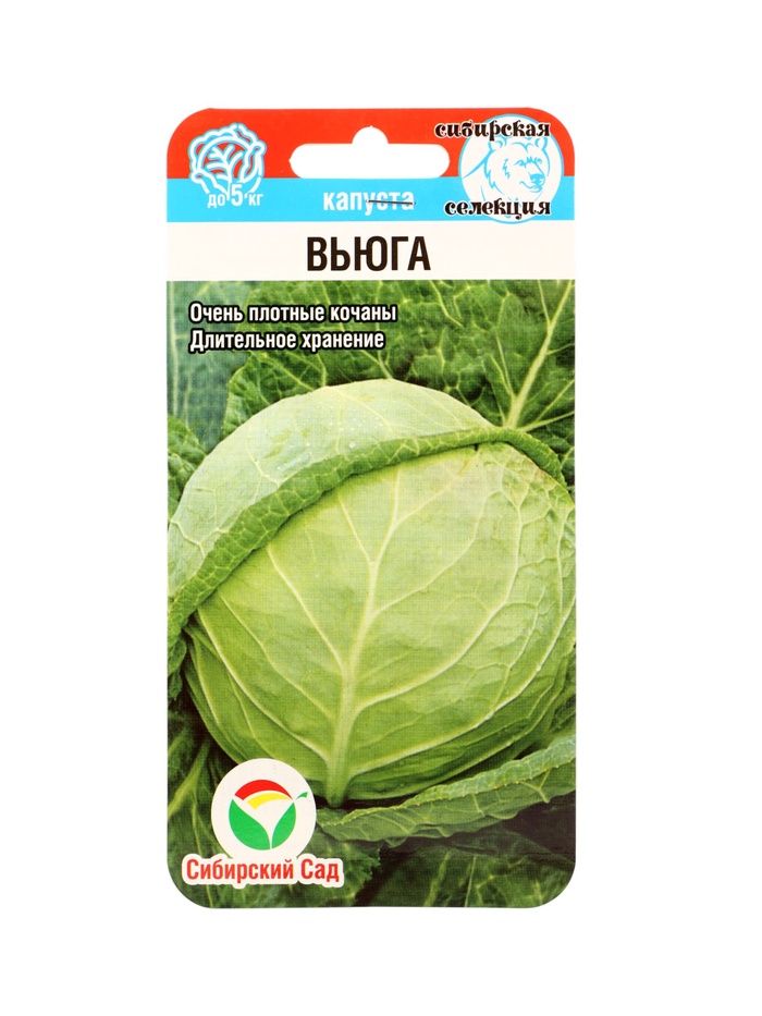 Семена Капусты белокочанной "Вьюга", 0,3 г - Фото 1