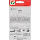 Семена Свекла Купчиха, 2 г - Фото 2