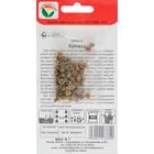 Семена Свекла Купчиха, 2 г - Фото 3