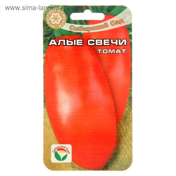 Томаты свеча описание сорта фото отзывы Томаты свеча описание сорта фото отзывы