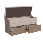 Банкетка «ФЛИНТ», 1000×370×470 мм, цвет ясень шимо тёмный/ясень шимо светлый - Фото 2