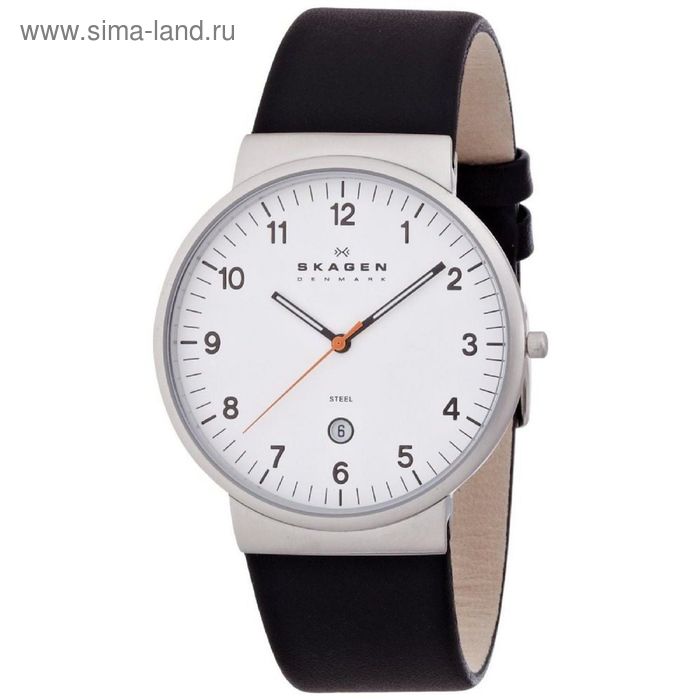 Часы наручные мужские SKAGEN SKW6024 - Фото 1