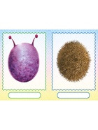 Книга с наклейками, сделай своего чудика «Мистер Друкс» - Фото 3