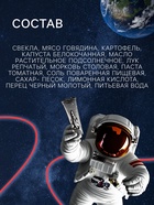 Космическое питание «Борщ», в тюбике, 115 г - Фото 4