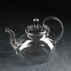 Чайник стеклянный заварочный с металлическим ситом Доляна «Элегия», 800 мл - фото 306838617