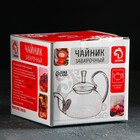 Чайник стеклянный заварочный с металлическим ситом Доляна «Элегия», 800 мл - Фото 4