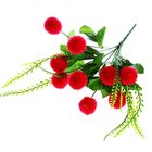 Букет "Краспедия" 30 см, d шарика - 3,5 см, микс - Фото 1