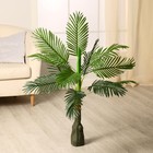 Дерево искусственное "Пальма" 79 см - фото 5643